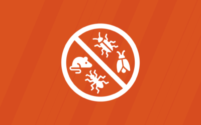 10 Pest Control Contractors to Enhance Your Home’s Market Appeal